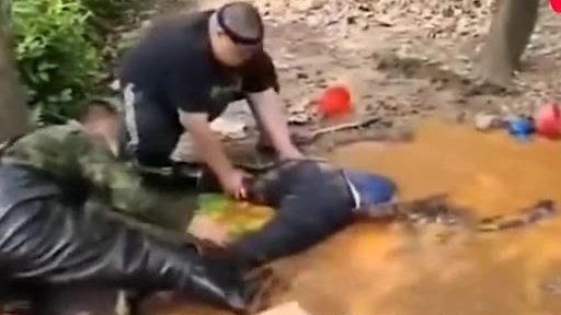 愿每个努力生活的人,都能被世界温柔相待